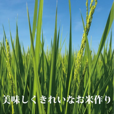 特別栽培米 一等米 つや姫 玄米 5kg×2袋 計10kg