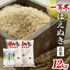 一等米 はえぬき 玄米 12kg