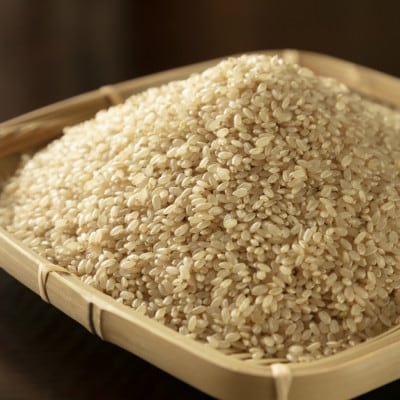 はえぬき 玄米 12kg