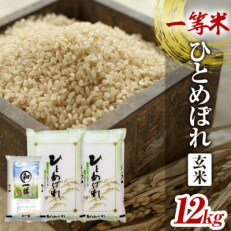 一等米 ひとめぼれ 玄米 各12kg