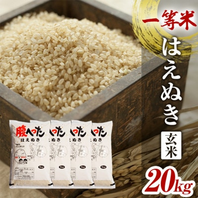 一等米 はえぬき 玄米5kg×4袋20kg