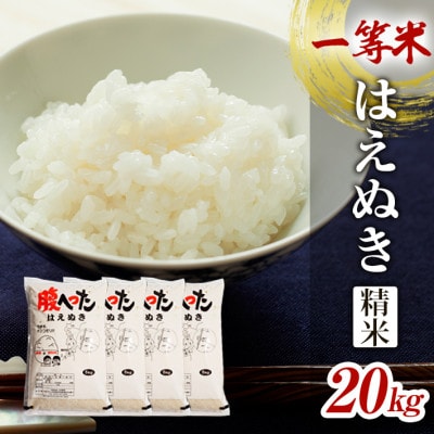 一等米 はえぬき 精米5kg×4袋20kg