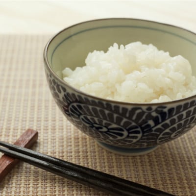 一等米 はえぬき 精米5kg×2袋・あきたこまち 精米5kg×2袋の4袋20kg