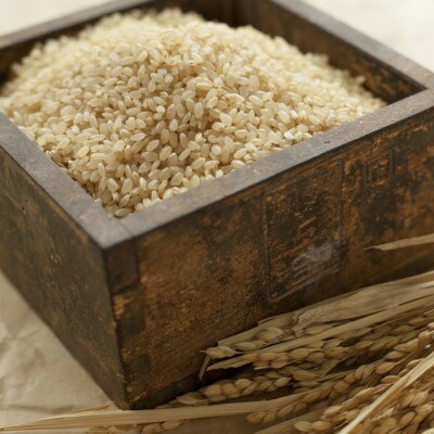 特別栽培米 コシヒカリ 玄米 5kg×2袋 計10kg