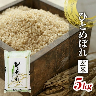 ひとめぼれ 玄米 5kg