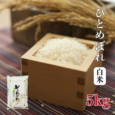 ひとめぼれ　5kg　精米
