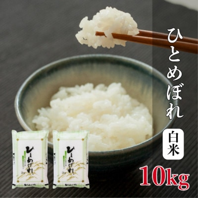 ひとめぼれ　5kg×2袋　計10kg　精米