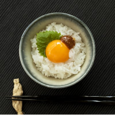 ひとめぼれ　5kg×2袋　計10kg　精米