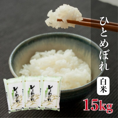 ひとめぼれ　5kg×3袋　計15kg　精米
