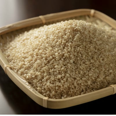 雪若丸 玄米 5kg