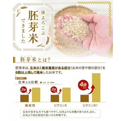 ひとめぼれ 胚芽米 5kg