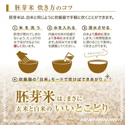 ひとめぼれ 胚芽米 5kg