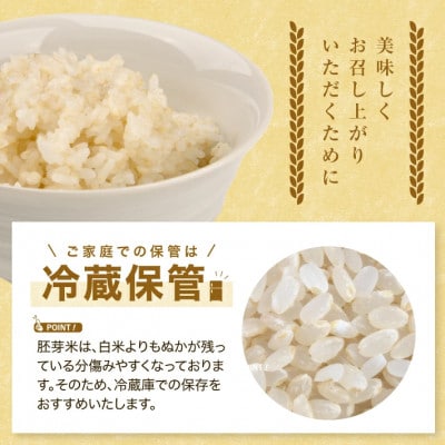 ひとめぼれ 胚芽米 5kg