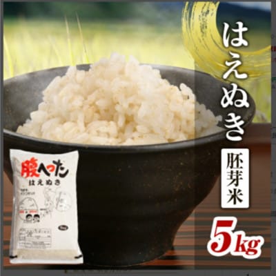 はえぬき 胚芽米 5kg