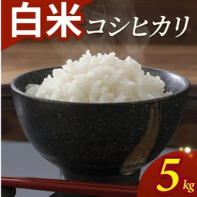 コシヒカリ　5kg　精米