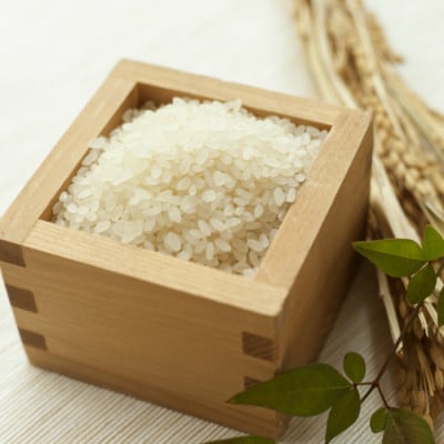 はえぬき　5kg　精米