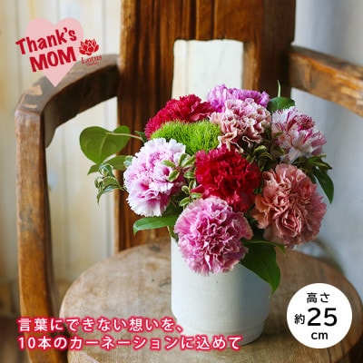 「スイート10カーネーションアレンジ 」10本に込めた特別なありがとうを贈る母の日ギフト