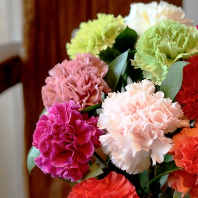 「スイート10カーネーションアレンジ 」10本に込めた特別なありがとうを贈る母の日ギフト