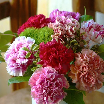 「スイート10カーネーションアレンジ 」10本に込めた特別なありがとうを贈る母の日ギフト