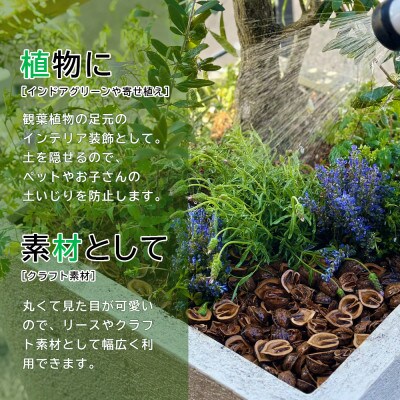 庭のクルミン　12kg　＜クルミマルチング材＞お庭のグランドカバーや駐車場の防犯に ご利用ください