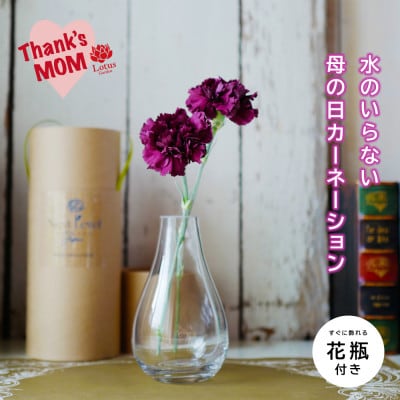 「水のいらないカーネーションギフト ニコニコ」手間いらずで笑顔が続くフリーズドライのフラワーギフト