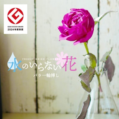 水のいらない花　ゼロフラワー「バラ1輪挿し」フリーズドライフラワーのある暮らし