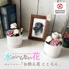 水のいらない花　ゼロフラワー(フリーズドライフラワー)　「お供え花　こころん」　1対