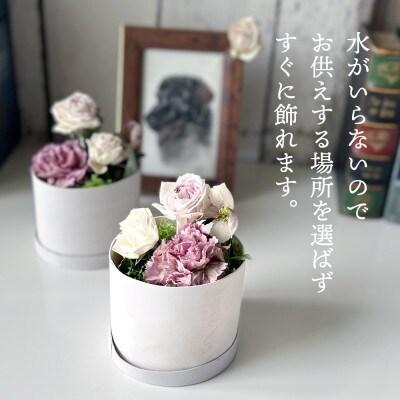 水のいらない花　ゼロフラワー(フリーズドライフラワー)　「お供え花　こころん」　1対