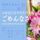 心を伝える花束　キモチ「ごめんなさい　GOMENNASAI」