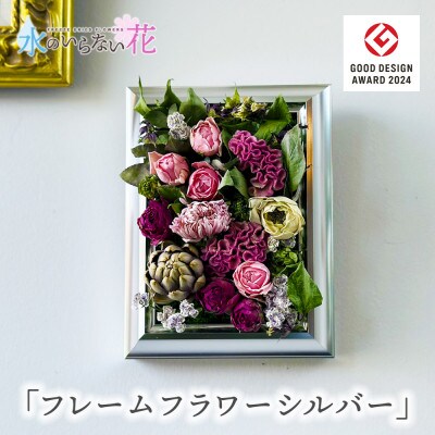 壁に飾るフリーズドライの花「フレームフラワー　シルバー」水のいらない花(ゼロフラワー)