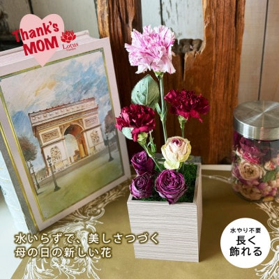 「ゼロフラワーの母の日ギフト」-ありがとうが続く花- 水いらずで長く楽しめる、母の日の新しいギフト