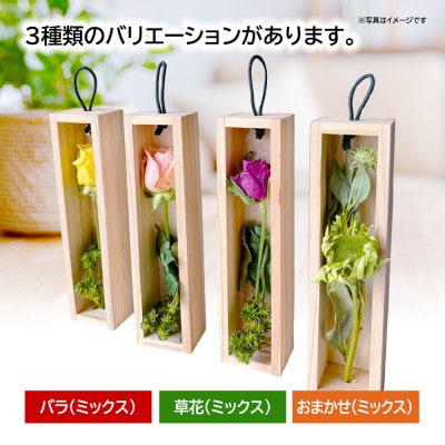 ゼロフラワー「花いちりん」S×3セット/おまかせ　フリーズドライフラワーインテリアシリーズ