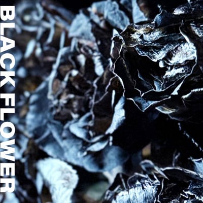 黒い花 ゼロフラワー「BLACK FLOWERアレンジメント」フリーズドライフラワーインテリア