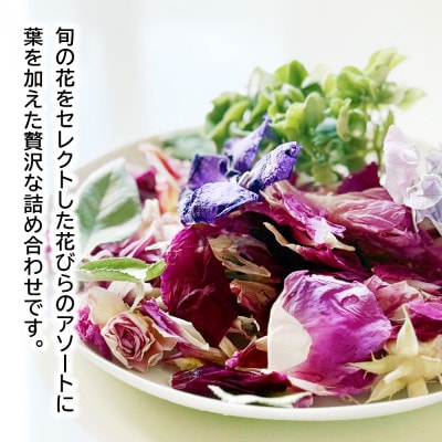 ゼロフラワー「フラワーペタル」フリーズドライフラワーの花びら。季節ごとの花をアソートでお届けします。