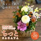 季節を感じるフラワーアレンジ「SAKATA ちっと」 忙しい毎日にも、ちっとの花が心を潤す