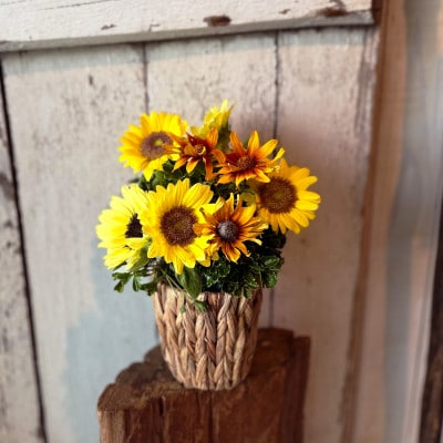 季節を感じるフラワーアレンジ「SAKATA ちっと」 忙しい毎日にも、ちっとの花が心を潤す