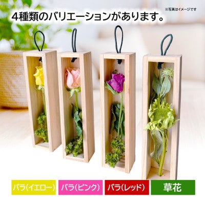 ゼロフラワー「花いちりん」S/バラ(レッド)　フリーズドライフラワーインテリアシリーズ