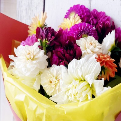 とれたて「酒田のダリアの花束」～旬の彩りと華やぎを産地からお届け～