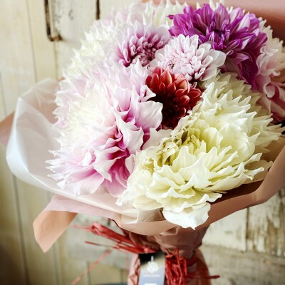 とれたて「酒田のダリアの花束」～旬の彩りと華やぎを産地からお届け～