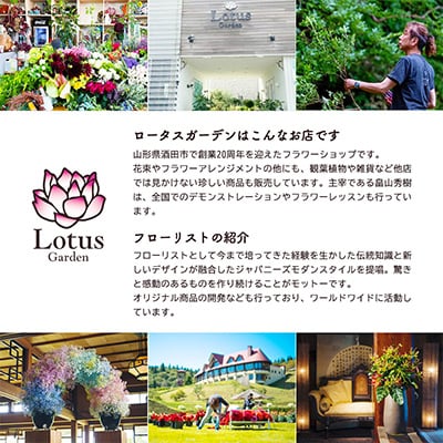 【発送月固定定期便】定期便　デザイナーズブーケ　COLOR'S BOUQET12全12回