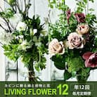 【発送月固定定期便】カビンに飾る緑と枝物と花「LIVING FLOWER12」空間装飾に! 全12回