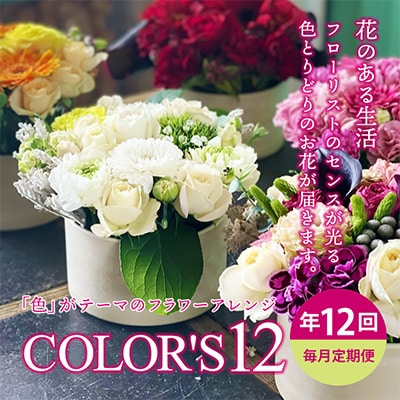 【発送月固定定期便】色で飾るフラワーアレンジ 「COLOR'S12」全12回