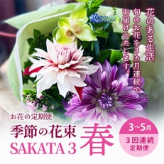 【発送月固定定期便】3回連続で届く お花の定期便「季節の花束SAKATA3 春」全3回