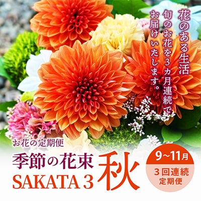 【発送月固定定期便】3回連続で届く お花の定期便「季節の花束SAKATA3 秋」全3回