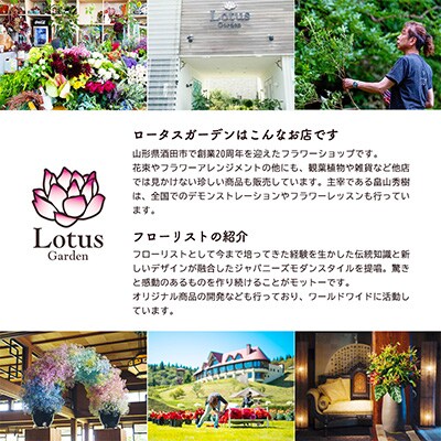 【発送月固定定期便】3回連続で届く お花の定期便「季節の花束SAKATA3 秋」全3回
