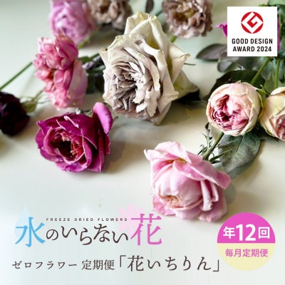 【毎月定期便】水のいらない花 ゼロフラワー定期便「花いちりん」全12回