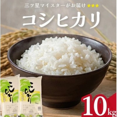 庄内産　コシヒカリ　精米　10キロ