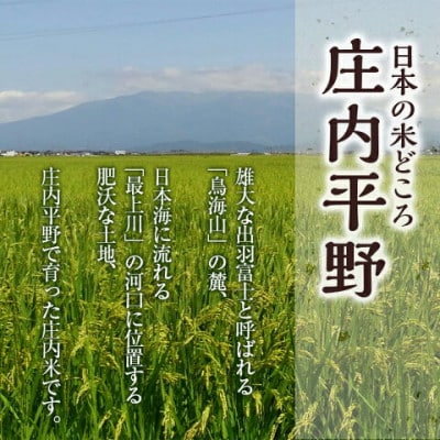 庄内産　コシヒカリ　精米　10キロ