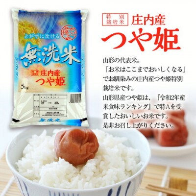 【発送月固定定期便】三ツ星マイスターがお届けする、庄内産特別栽培米つや姫5kg全3回