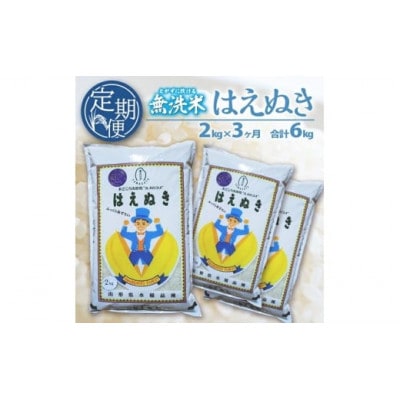 【毎月定期便】三ツ星マイスターがお届け!!庄内産はえぬき無洗米2キロ全3回